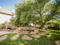 Backyard Tree Path