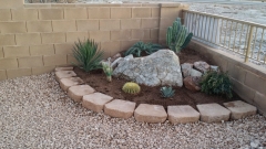 Cactus Landscape