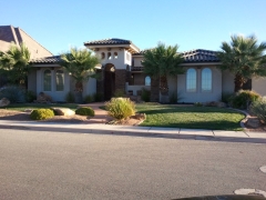 Castlerock Palm Tree Home